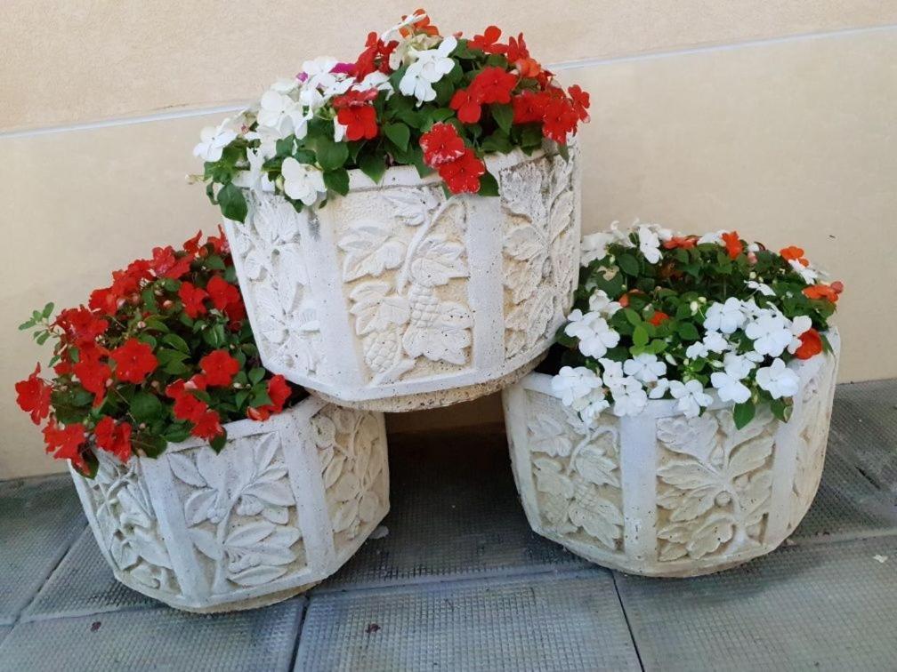 Анси بوموري المظهر الخارجي الصورة
